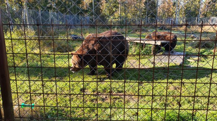 Suurpetokeskus Kuusamo
