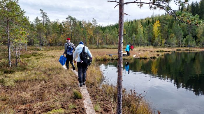 Pitkospuuta mukava tallustella
