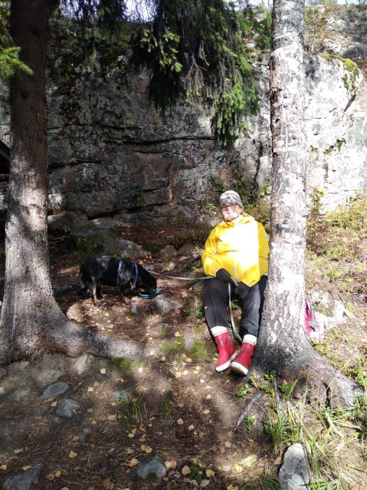 Ja aurinkoa riittää
