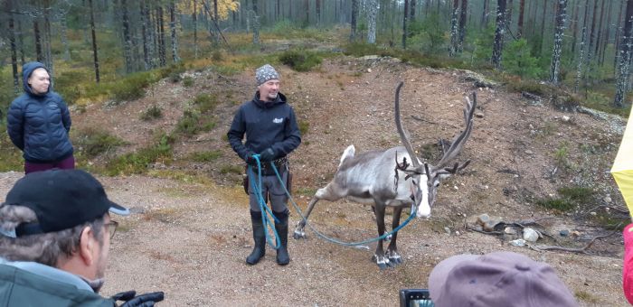 Oppaat Fanni ja Esa sekä poro
